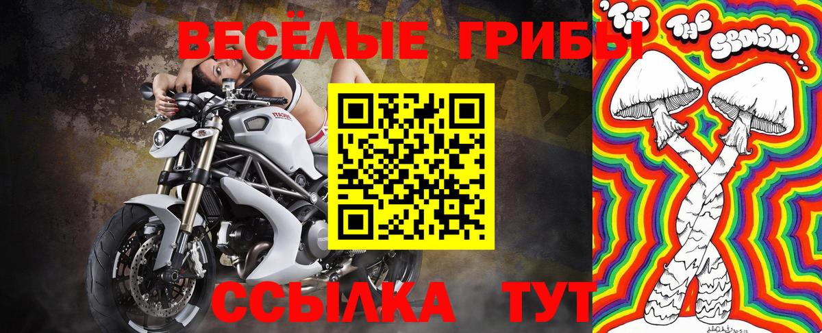 Галлюциногенные грибы ЛСД Дербент