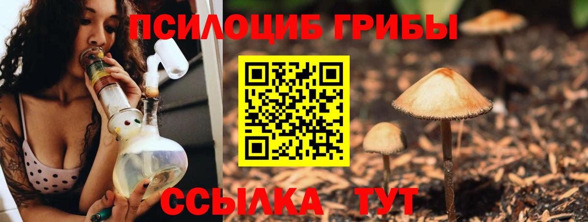 Галлюциногенные грибы мицелий  Вход с VPN  Дербент 